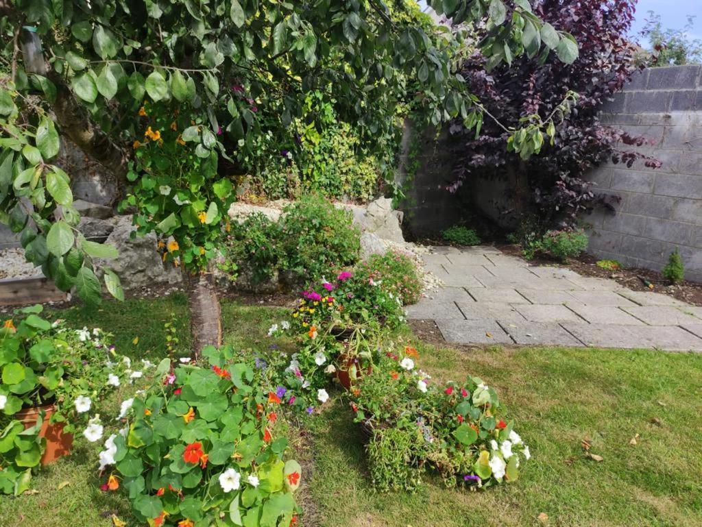 Glensheen Ennis Exterior foto